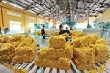 Thị trường Trung Quốc chiếm gần 57% tổng khối lượng XK cao su của cả nước 